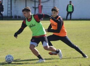 patronato