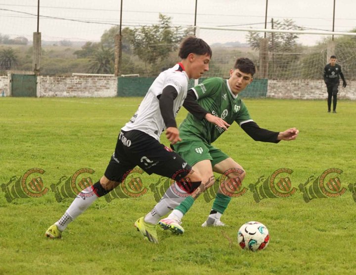 patornato en fotos