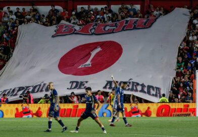 El Bicho sale de Copa