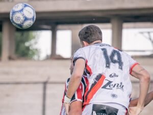patronato